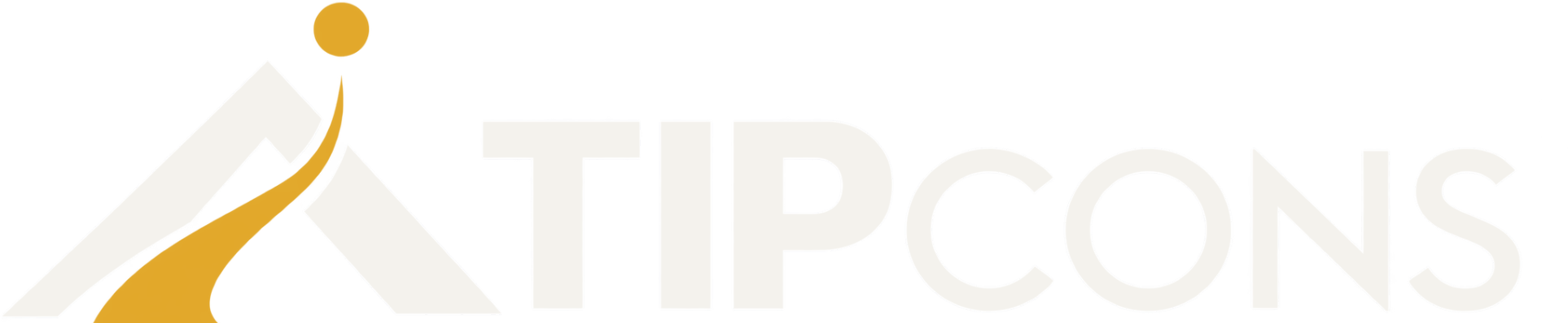 TIPCONS - The Innovation Point Consulting